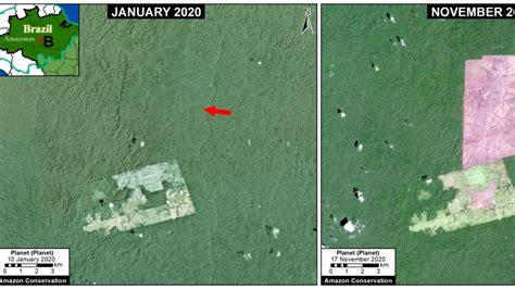 La Amazonía perdió 2 3 millones de hectáreas en 2020