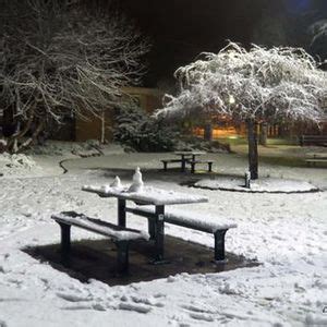 Snow falls in Stanthorpe, Queensland | Warwick Daily News