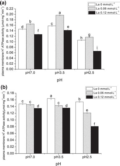 Effects Of La And Sar On The Hydrolytic Activity Of Plasma Membrane