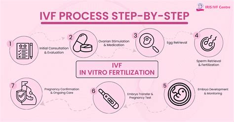 Understanding The Ivf Process Step By Step