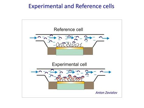 Ppt Surface Plasmon Resonance Based Binding Techniques Biacore Powerpoint Presentation Id