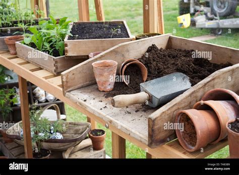 The Potting Bench In A Greenhouse At Rhs Malvern Spring Show Stock