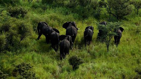 Best Guide to Nimule National Park 2023-2024