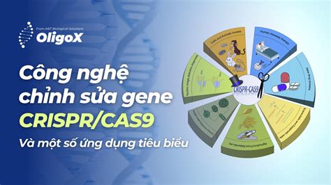 Công nghệ chỉnh sửa gene CRISPR CAS9 OligoX