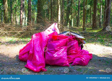 Basura Basura Y Pl Stico En Un Bosque Contaminaci N Imagen De Archivo