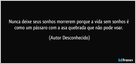 Nunca Deixe Seus Sonhos Morrerem Porque A Vida Sem Sonhos