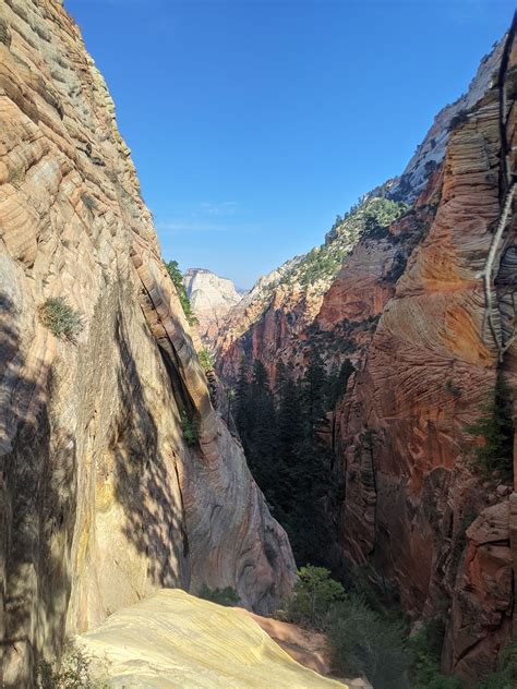 Lodge Canyon, Zion | Canyoneering route