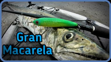 Pesca De Pargos Y Macarela En Cuajiniquil Guanacaste Youtube