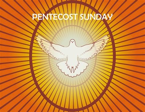 Premium Vector Dove Vector Illustration For Pentecost Sunday With