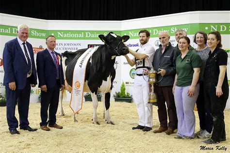 2018 Show Winners - National Dairy Show