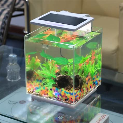 Atk Serie Acrílico Guppy Tanque De Peces Ecológico Paisaje Peces Del