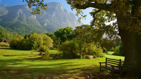 Botanick Z Hrada Kirstenbosch Svet Dizajnu