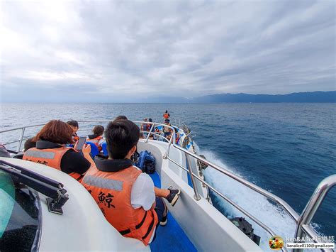 宜蘭景點｜龜山島登島賞鯨豚半日遊｜我要成為海賊王！牛奶海、401高地、賞海豚、龜尾湖步道、龜山坑道一次玩透透 Kenandalice 玩樂誌