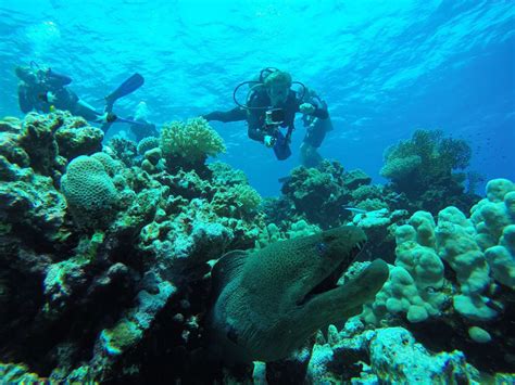 Discover Scuba Diving Trip in Sharm El Sheikh