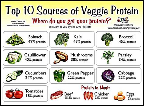 Top 10 Sources Of Veggie Protein Chart Veganification