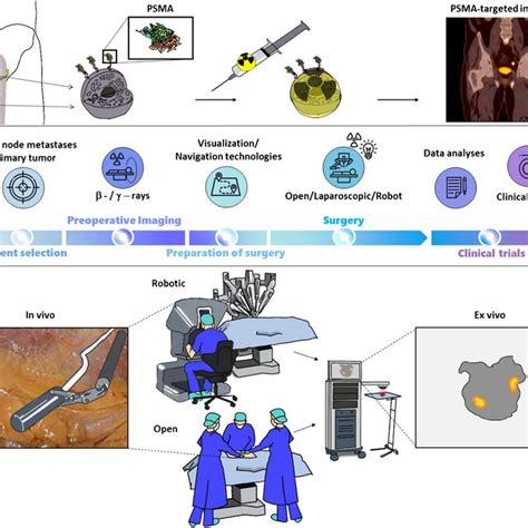 A Prostate Specific Membrane Antigen Psma Targeting B Clinical