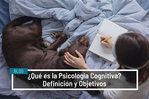 Qu Es La Psicolog A Cognitiva Definici N Y Objetivos Ivanesalud