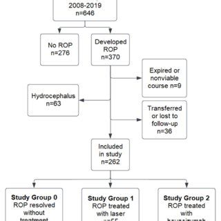 Flowchart Showing Inclusion And Exclusion Of Patients During The Study