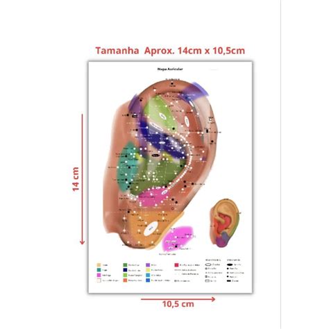 Kit Mini Mapa Auriculoterapia Acupuntura Shopee Brasil