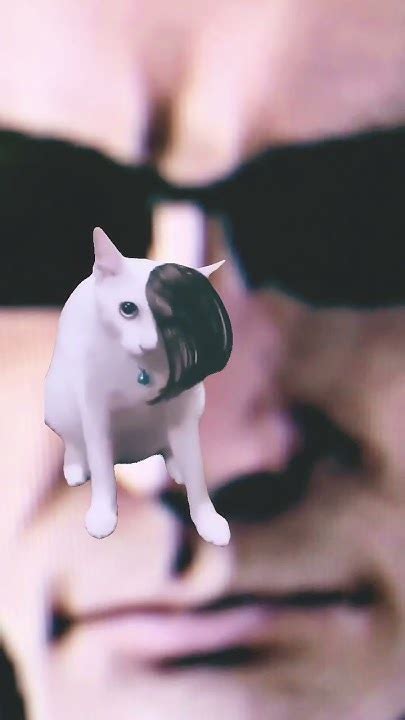 Emo Cat😓🥺😓😓😢😢💀💀💀 Youtube