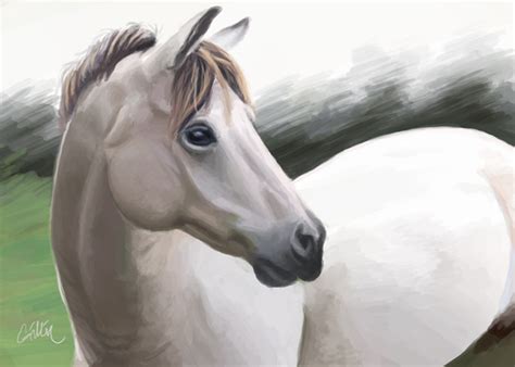 White Horse - painting by Griffin-Fire on DeviantArt