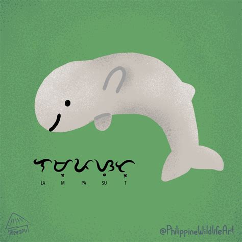 Irrawaddy Dolphin Philippine Wildlife Art