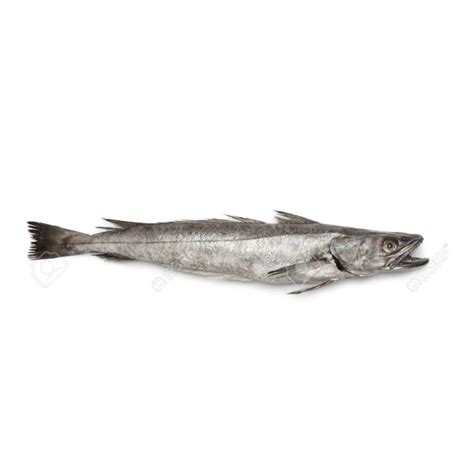 Hake Per KG Kikspro Meat Shop