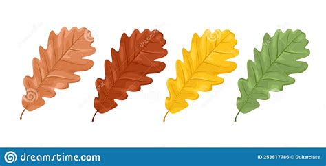 Set Of Oak Leaves In Brown Yellow Green And Red Color Isolated On