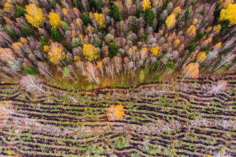 Between autumn and winter - Capture Estonia Nature and Photography Tours