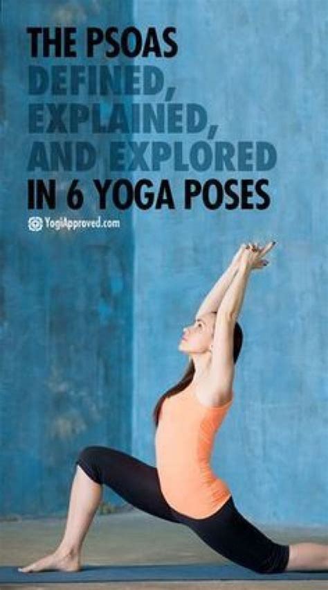 The Psoas Defined, Explained, and Explored in 6 Yoga Poses in 2022 ...