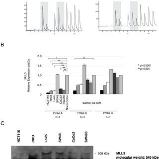 DNA methylation analysis using quantitative bisulfite pyrosequencing in ...