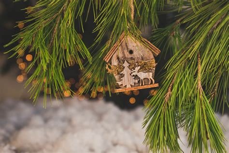 How To Have A Sustainable Christmas This Year Green With Less