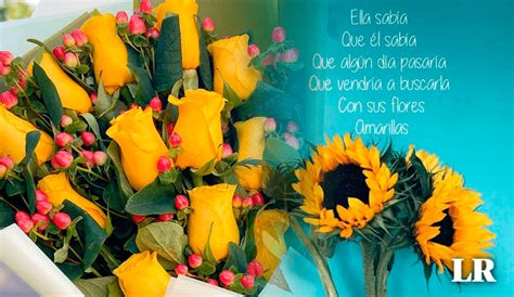 Flores Amarillas Imágenes Con Frases Para Dedicar Este 21 De Septiembre Por Qué Hoy Se