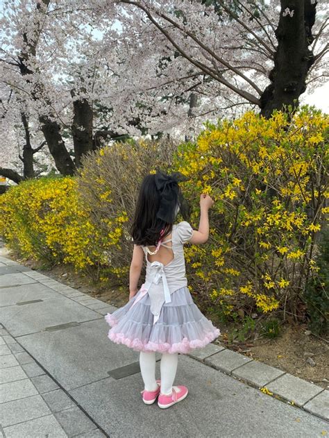 수원 경기도청 벚꽃놀이를 다녀왔다🌸 주차팁봄나들이벚꽃만개🌸🌸🌸 네이버 블로그