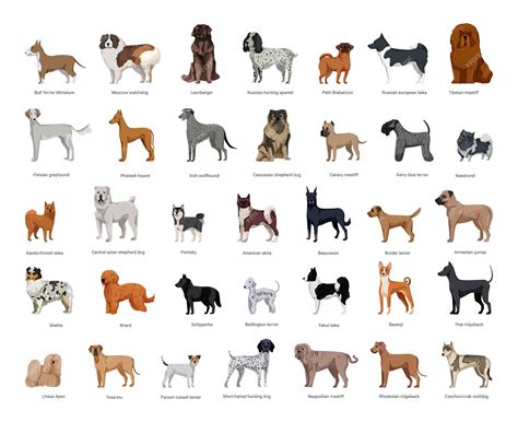 What Is A Dogs Species
