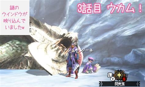 【mh4g】エピクエ第2弾「極秘指令16010」にノースキルソロ（オトモ有り）で挑戦！ ヘタレゲーマーhaniwaのブログ