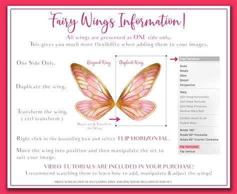 Overlays Png Fairy Wings And Butterflies Set Digital Etsy Australia