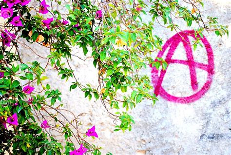 Anarchist Graffiti Stock Image Image Of Flowers White 80428233