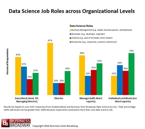 Data Science Job Roles Across Organizational Levels