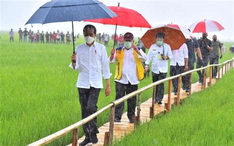 Food Estate Di Sumba Tengah Mencapai Hektare Ini Manfaatnya