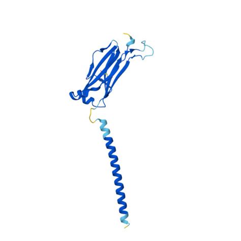 Rcsb Pdb Af Afp F Computed Structure Model Of T Cell Receptor