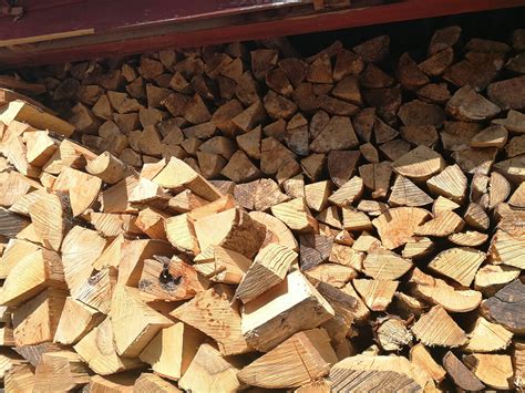 Firewood Logs Tree Nursery Uk