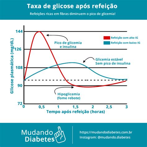 Curva Glic Mica E O Papel Das Fibras Na Redu O Do Pico De Glicemia