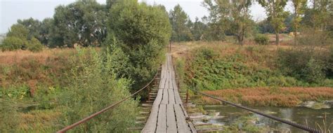 Деревня Грачевка Куркинского района Тульской области