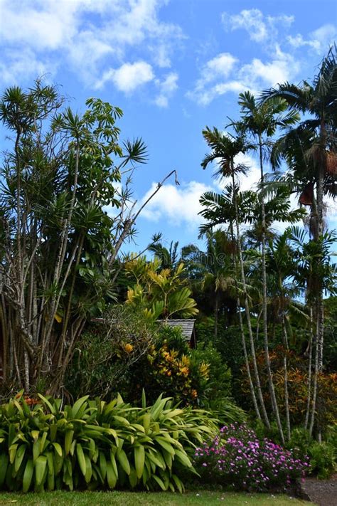 Allerton Garden National Tropical Botanical Garden In Koloa On Kauai