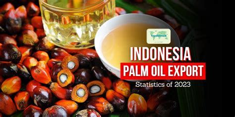 Unlocking The Potential Of Indonesia Palm Oil Export A Comprehensive Guide