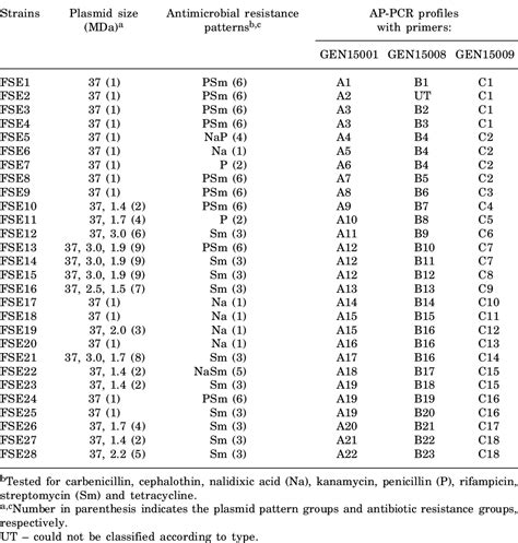 Table From Comparison Of Arbitrarily Primed Pcr Antibiotic