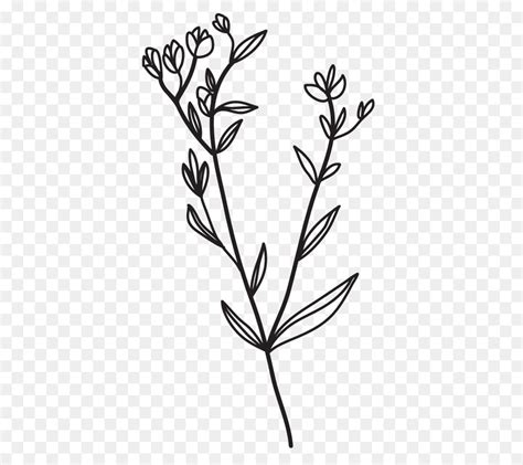 Flower Stem Clipart Black And White Best Flower Site