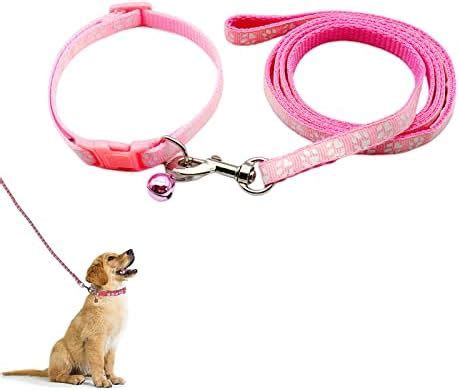 Hundehalsband Und Leine Halsband Und Leine F R Kleine Hunde