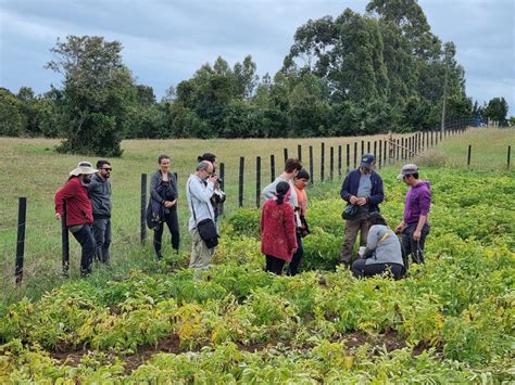 Gira de Magíster en Desarrollo Rural permitió a estudiantes conocer